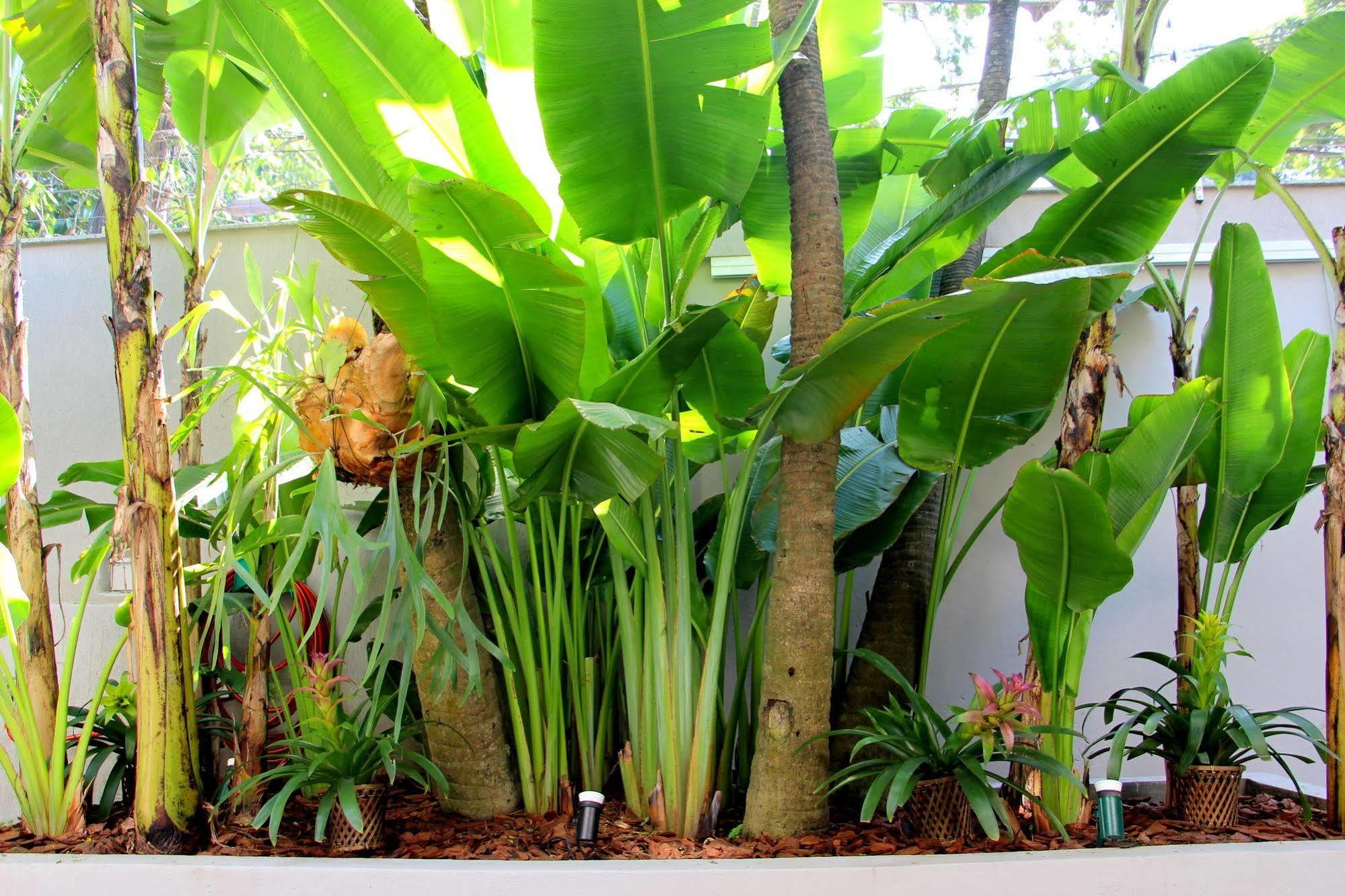 Gavea Bnb Rio de Janeiro Exterior photo